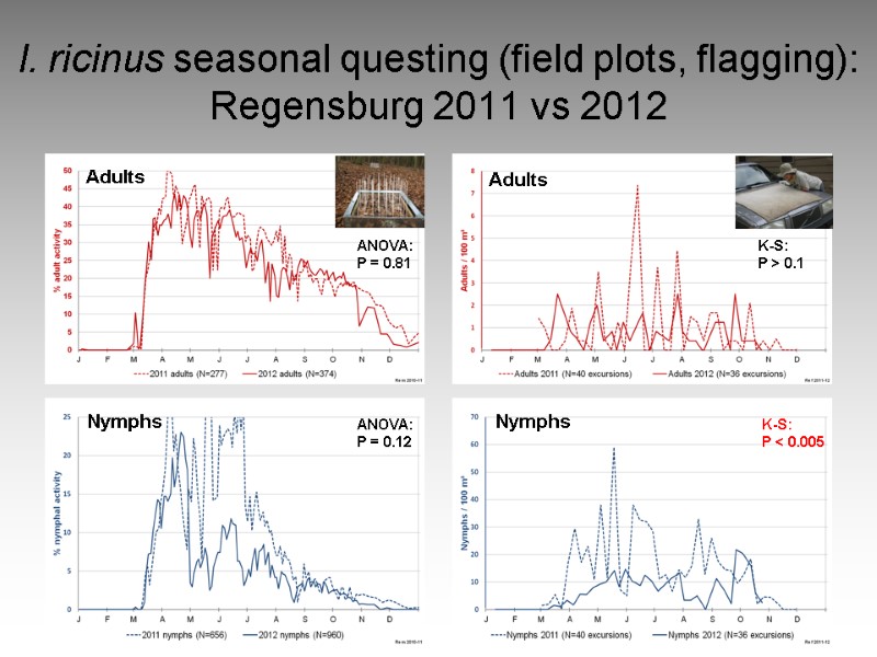 I. ricinus seasonal questing (field plots, flagging): Regensburg 2011 vs 2012 Adults Adults Nymphs